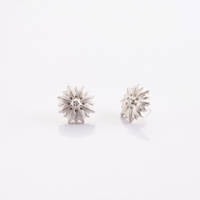 Flora & Fauna – Ohrstecker