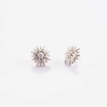 Flora & Fauna – Ohrstecker